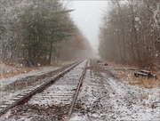 25th Jan 2023 - Snowbound Train Tracks