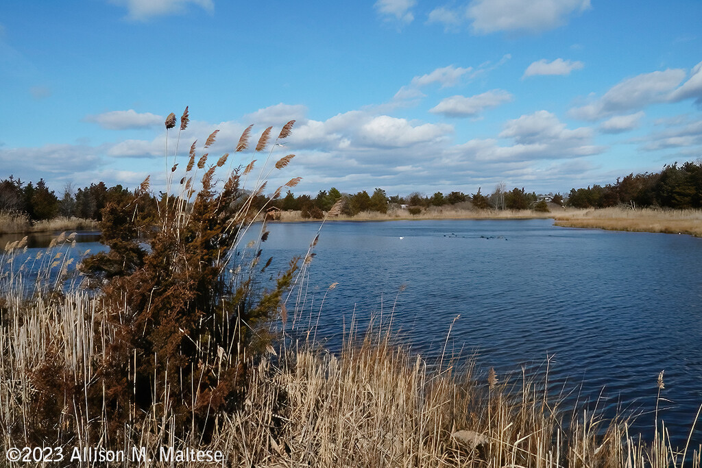 Hammonasset Pond Overview by falcon11