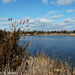Hammonasset Pond Overview