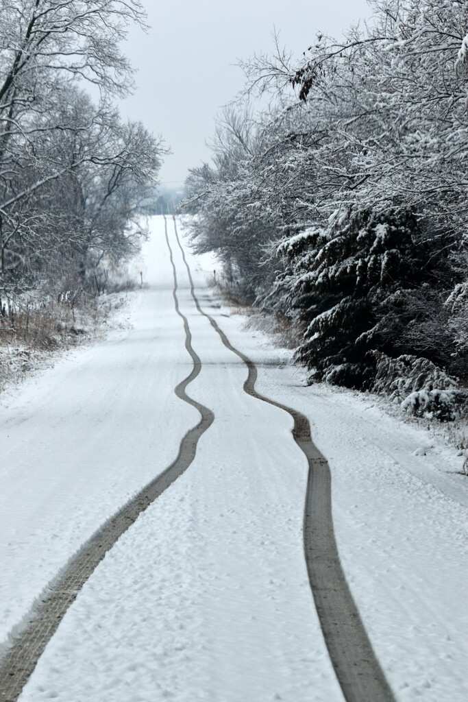 Tracks in the Snow by genealogygenie
