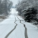 Tracks in the Snow by genealogygenie