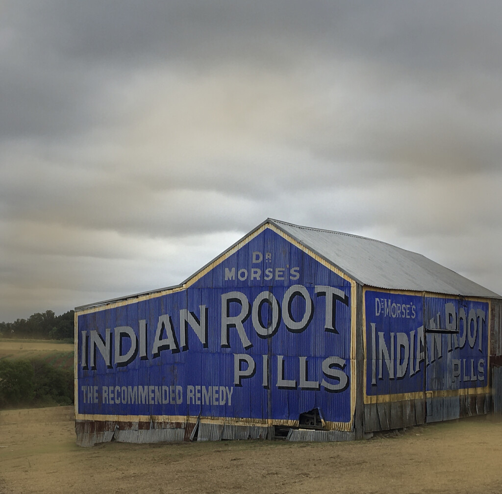 Dr Morses Indian Root Pills by bugsy365