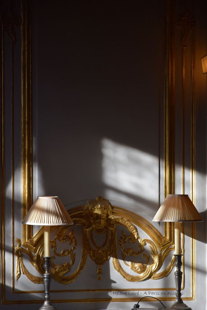 shadows in the Hotel de Caumont by parisouailleurs