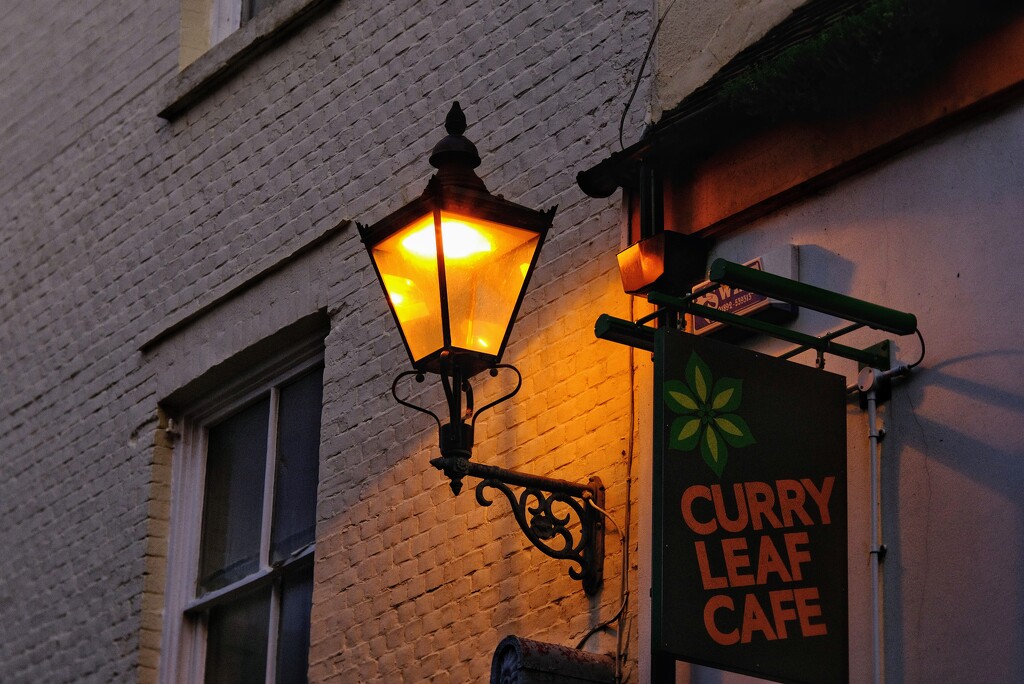 Curry Leaf cafe  by 4rky