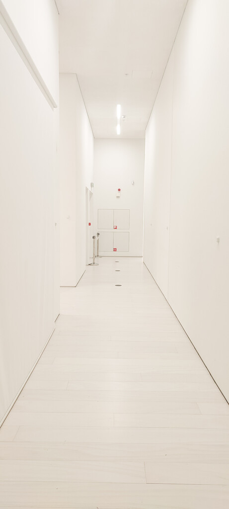 White Corridor by gerry13