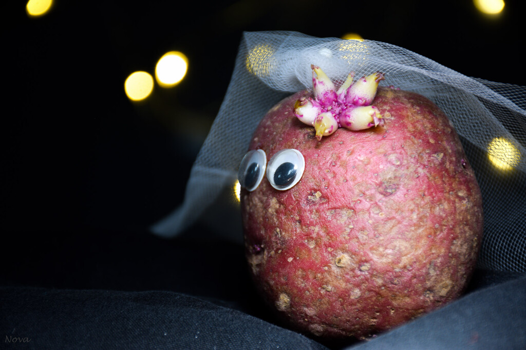 One potato by novab