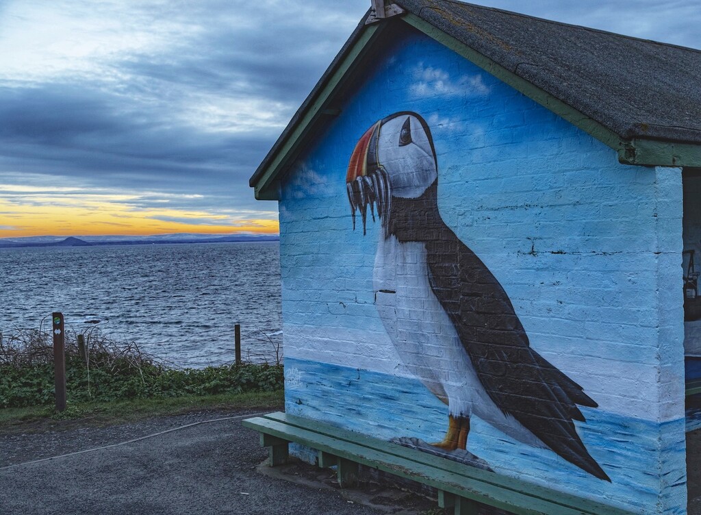 What makes for a happy puffin? by billdavidson