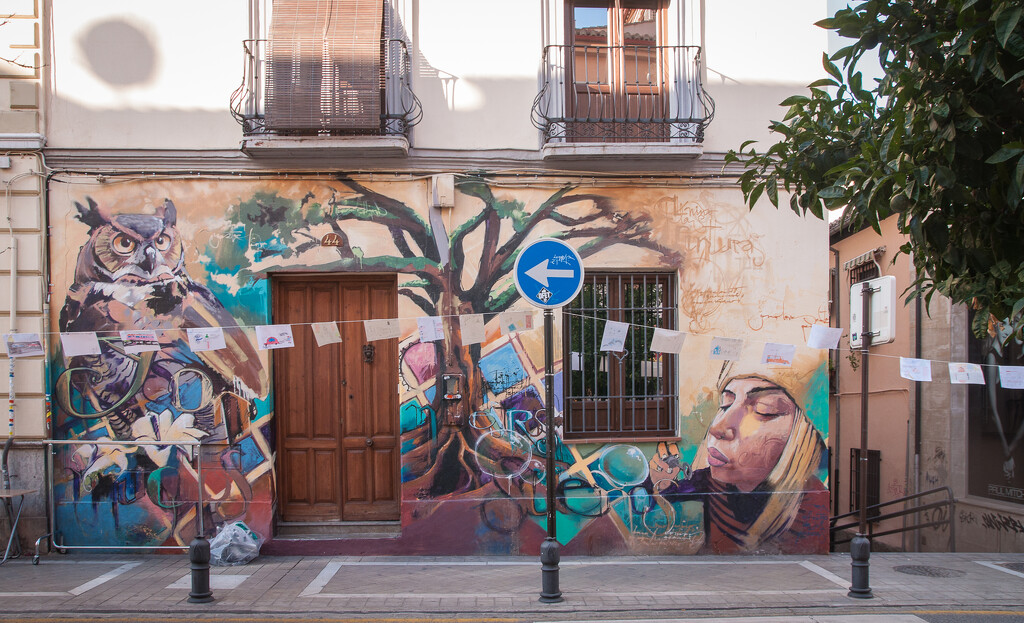 Granada street art by brigette