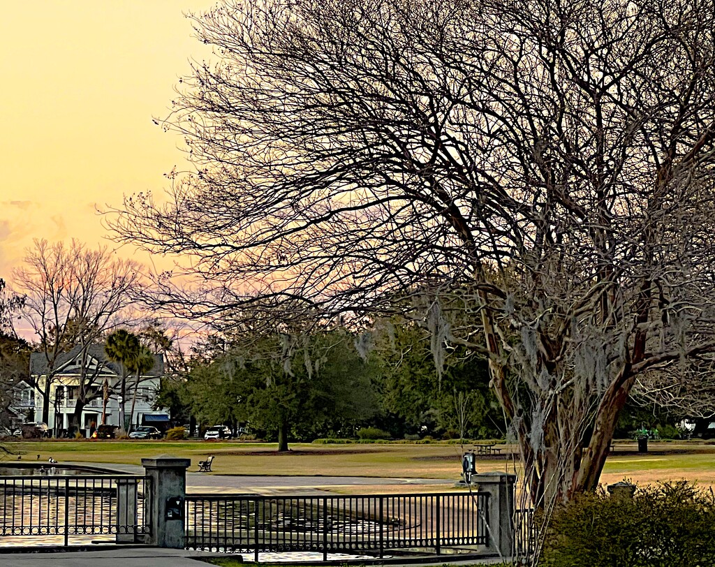Cool and mellow sunset at the park by congaree