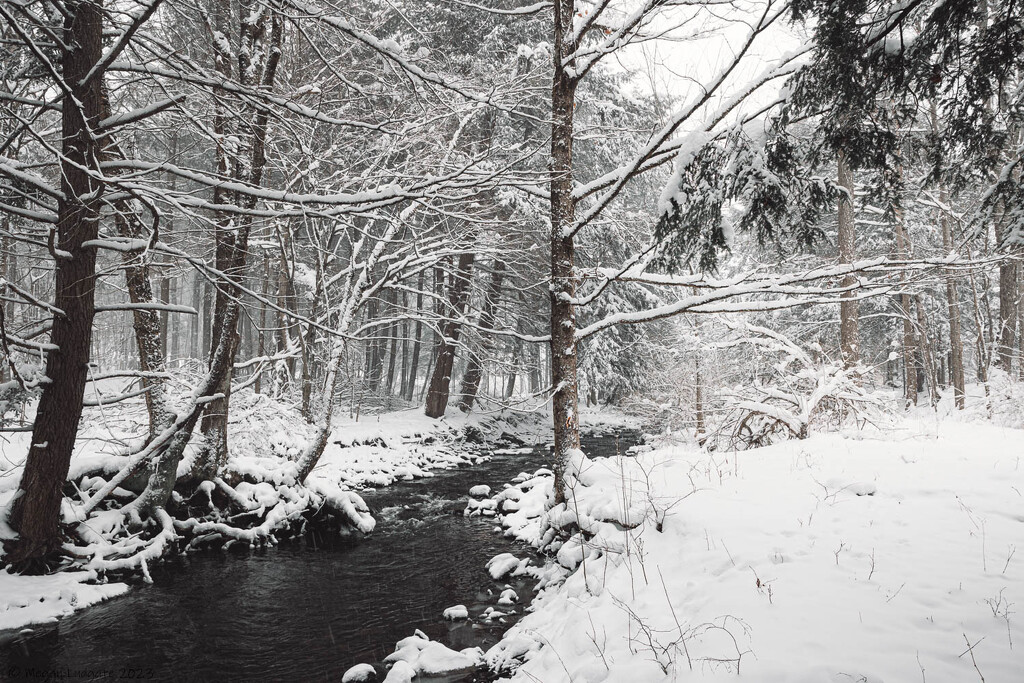 Snowy Stream by kuva