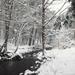Snowy Stream by kuva