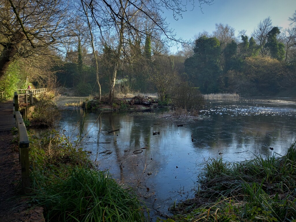 A wintry Keston Ponds - a favourite spot not far from me by 365jgh