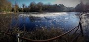 18th Jan 2023 - A fun shot with panorama on my mobile phone