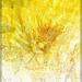 Yellowed Flower by olivetreeann