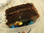 28th Jan 2023 - Chocolate Cake Piece