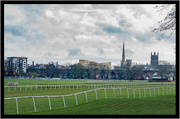 29th Jan 2023 - Racecourse now not flooded