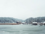 29th Jan 2023 - Winter on the lake