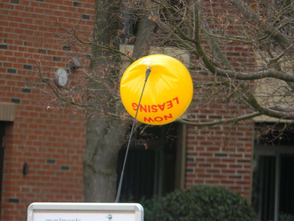 Balloon on Sign  by sfeldphotos