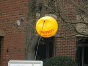 29th Jan 2023 - Balloon on Sign 
