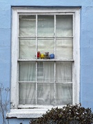 29th Jan 2023 - More toys in a window!