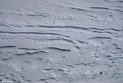 29th Jan 2023 - Wind patterns in the snow