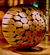 16th May 2012 - Ball of Logs
