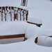 One Foot Of New Snow Overnight... by bjywamer