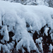 Snow On The Arbor by bjywamer
