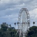 St Kilda Ferris Wheel by deidre