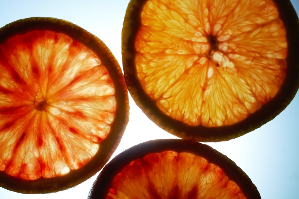 Blood Oranges  (2) by granagringa