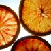 Blood Oranges  (2)