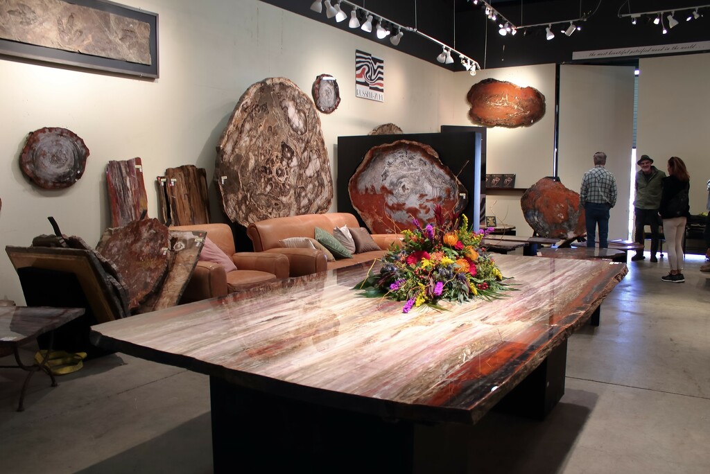 Petrified Wood Table by blueberry1222