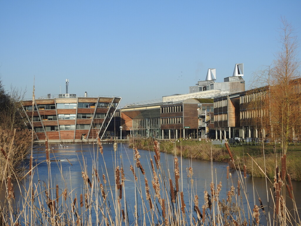  Jubilee Campus - Nottingham University by oldjosh