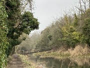 29th Jan 2023 - Morning Walk Along The Canal 
