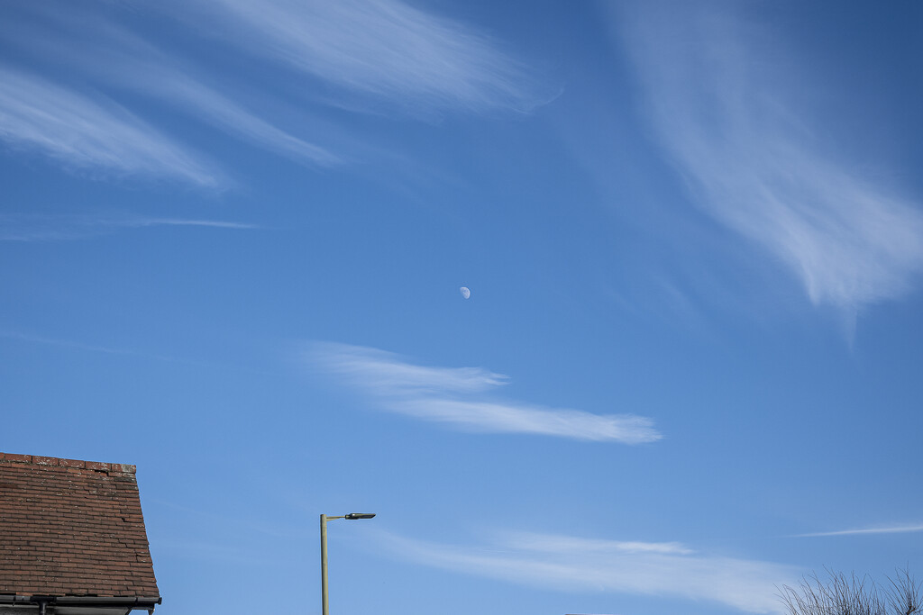 Blue sky moon  by terip
