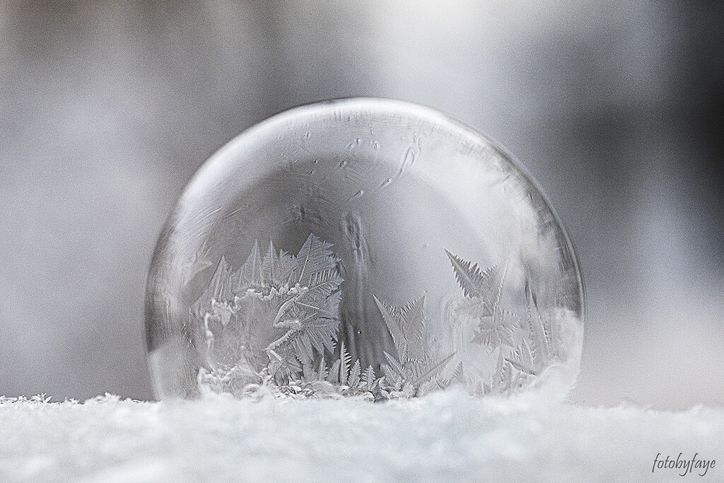 Frozen bubble terrarium by fayefaye