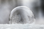 29th Jan 2023 - Frozen bubble terrarium