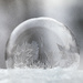 Frozen bubble terrarium