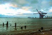 29th Jan 2023 - view of the port of Felixstowe