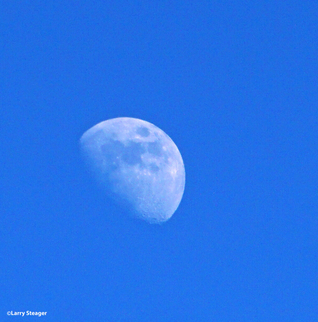 Daytime moon by larrysphotos