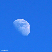 30th Jan 2023 - Daytime moon