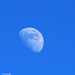 Daytime moon by larrysphotos