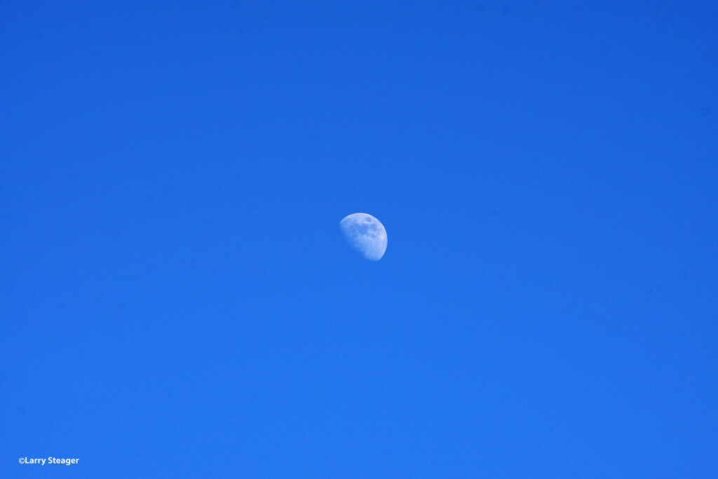 Sunny day moon by larrysphotos
