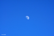 30th Jan 2023 - Sunny day moon