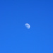 Sunny day moon by larrysphotos
