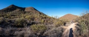 29th Jan 2023 - Arizona Desert