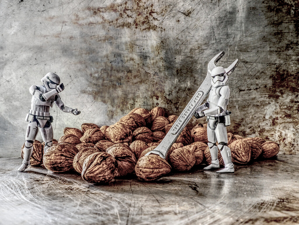 the wrong nuts by graemestevens