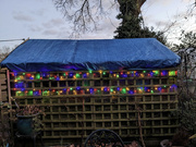 30th Jan 2023 - Brightening up the shed