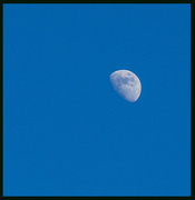 30th Jan 2023 - Afternoon Sky with Moon