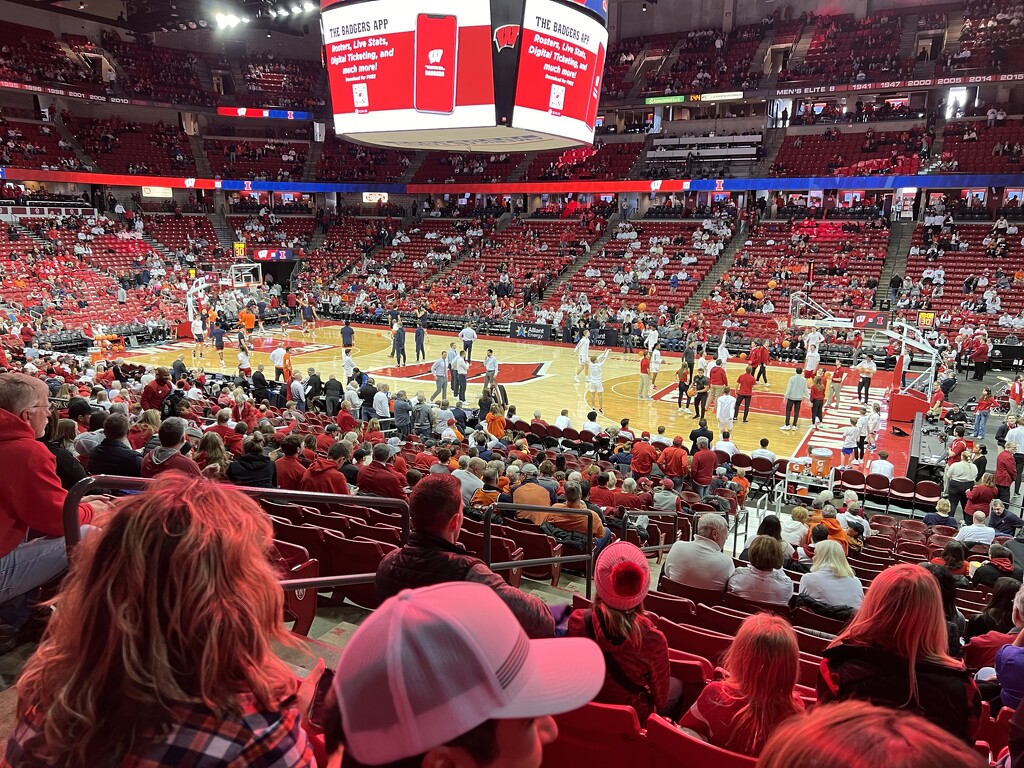 Badger BBall by pennyrae